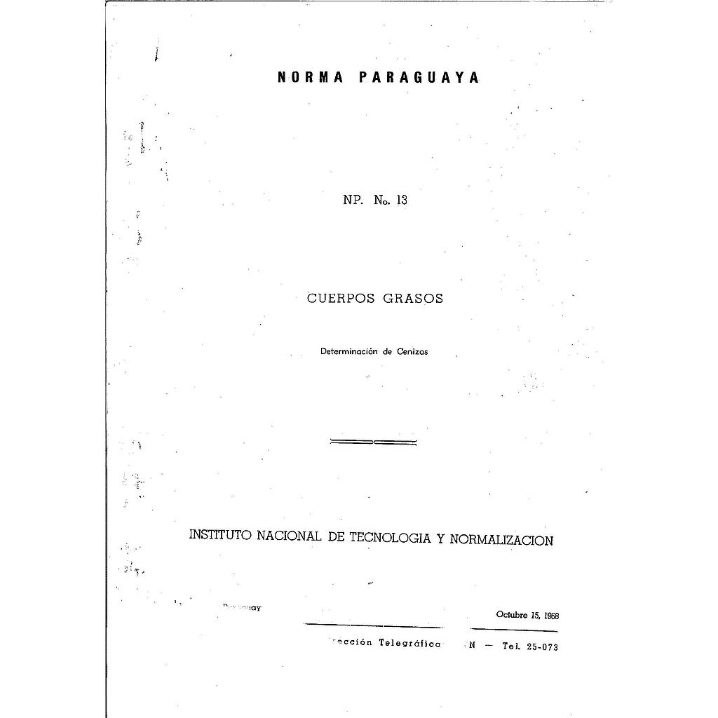 NP 13